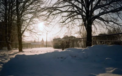 Strategies for Maintaining Healthy Routines During the Holidays