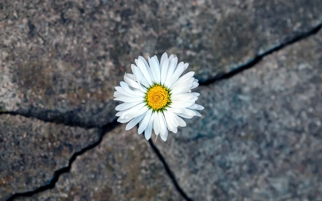 Common Myths That Prevent People From Seeking Eating Disorder Treatment
